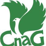 Comunn na Gàidhlig
